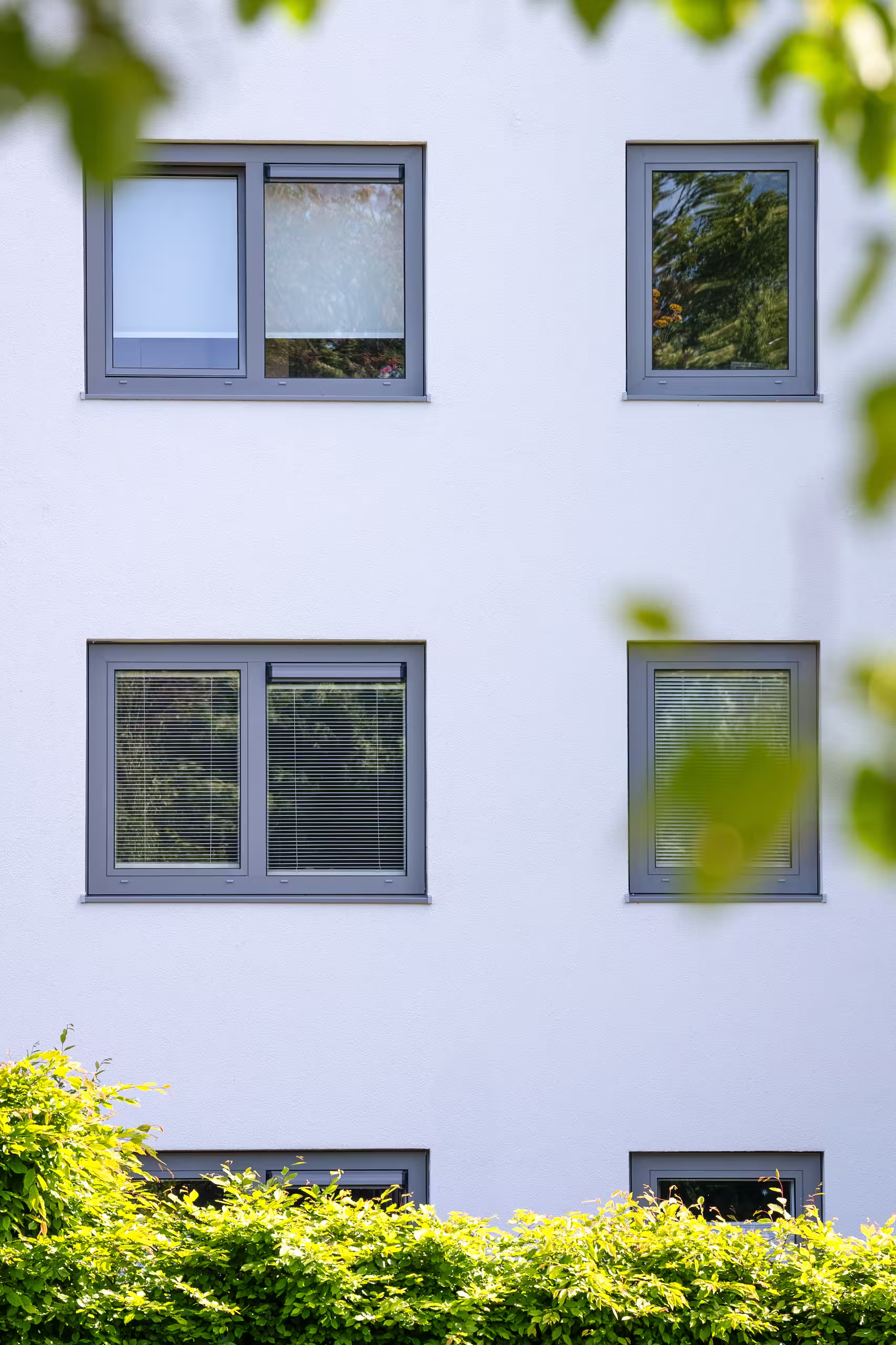 Dibotherm 2470 bewerkt