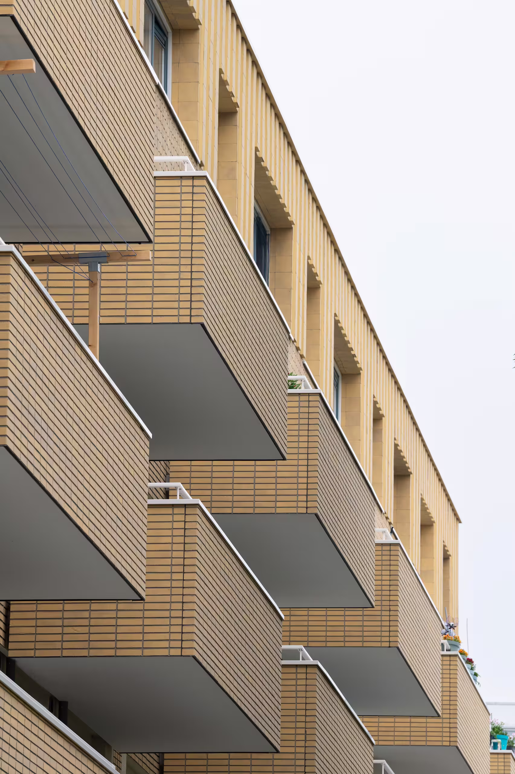Dibotherm 3638 bewerkt